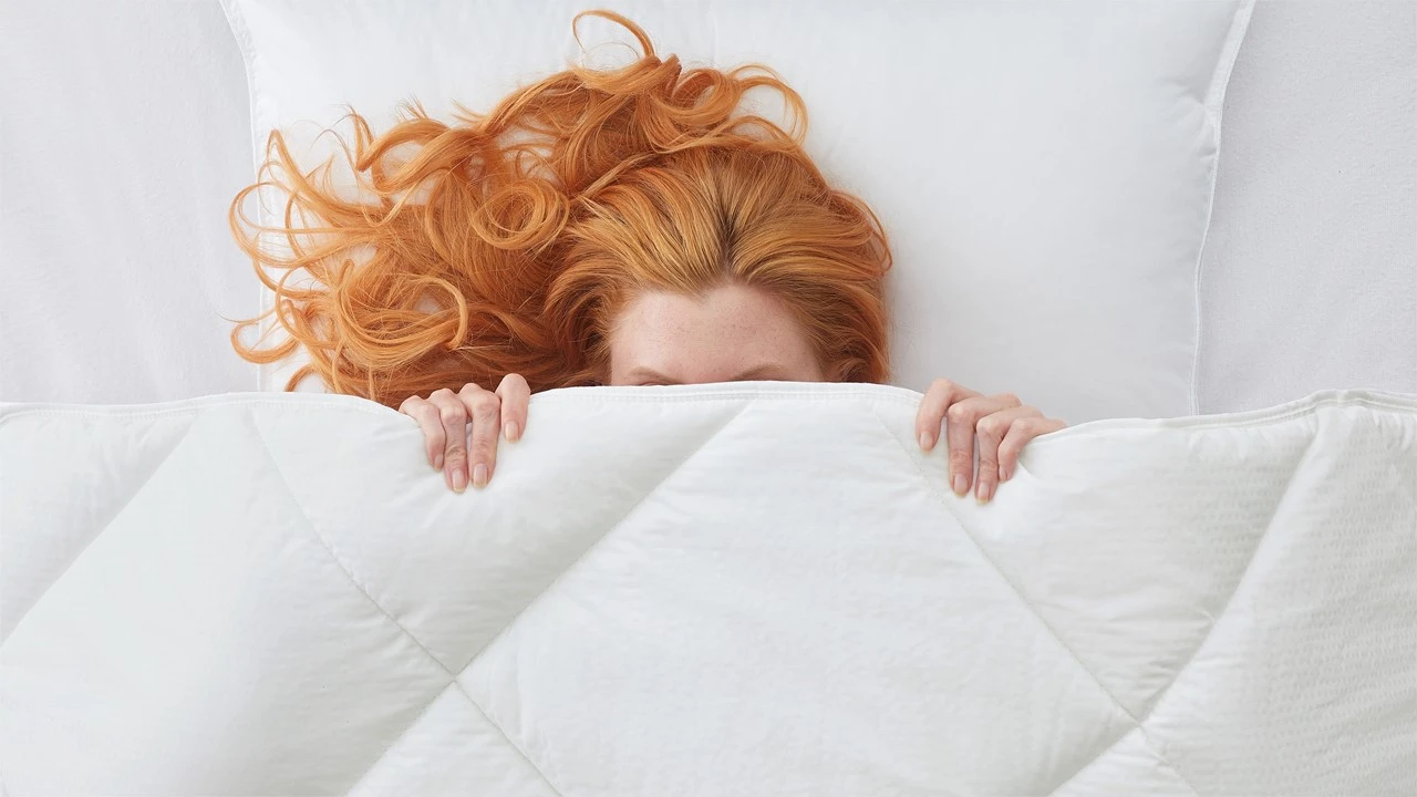 Dekbed Climate Control 3 Dekbed Climate Control - Afbeelding 3