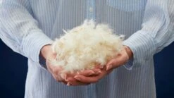 Dekbed Superieur 90% Dons Voor-/najaar -Slaapcomfort Winkel Dekbed Gold 90 dons alle seizoenen 1