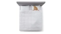 Slaapcomfort Winkel -Slaapcomfort Winkel Dekbed Select 15 dons 4 seizoenen 1