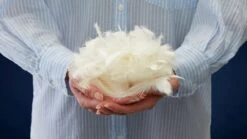 Hoofdkussen Ducky Box 1600 Gram 10 Hoofdkussen Ducky Box 1600 Gram -Slaapcomfort Winkel Dekbed Select 15 dons 4 seizoenen 9