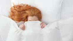 Dekbed Silvana Royale Light 100% Dons Zomer -Slaapcomfort Winkel Dekbed Silvana Royale Light 100 dons zomer 2