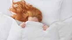 Dekbed Silvana Royale Medium Light 100% Dons Voor/najaar -Slaapcomfort Winkel Dekbed Silvana Royale Medium Light 100 dons voor najaar 2