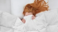 Dekbed Superieur 90% Dons Voor-/najaar -Slaapcomfort Winkel Dekbed Superieur 90 dons voor najaar 2