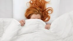 Dekbed Taurus 90% Dons 4-seizoenen -Slaapcomfort Winkel Dekbed Taurus 90 dons 4 seizoenen 2