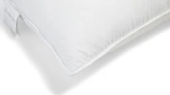 Hoofdkussen Ducky 1700 Gram 9 Hoofdkussen Ducky 1700 Gram -Slaapcomfort Winkel Hoofdkussen Ducky 1700 gram 3