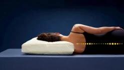 Hoofdkussen First Kapok -Slaapcomfort Winkel Hoofdkussen First Kapok 2