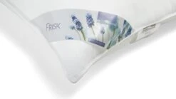 Hoofdkussen Frisk -Slaapcomfort Winkel Hoofdkussen Frisk 3