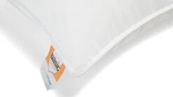 Hoofdkussen Pure Basic -Slaapcomfort Winkel Hoofdkussen Pure basic 3