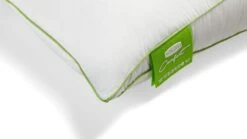 Hoofdkussen Silvana Comfort Groen 9 Hoofdkussen Silvana Comfort Groen -Slaapcomfort Winkel Hoofdkussen Silvana Comfort Groen 3