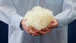 Dekbed Puurnatuur Wol 4-seizoenen 10 Dekbed Puurnatuur Wol 4-seizoenen -Slaapcomfort Winkel Hoofdkussen Soezzz Perfection 1