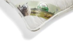 Hoofdkussen Soezzz Perfection Deluxe -Slaapcomfort Winkel Hoofdkussen Soezzz Perfection Deluxe off white 3