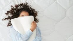 Slaapcomfort Winkel -Slaapcomfort Winkel TEMPUR hoofdkussen Original Queen medium 1