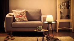 Verlichting Philips Hue Wellness Tafellamp White Ambiance Zwart -Slaapcomfort Winkel Verlichting Philips Hue Wellness tafellamp White Ambiance Zwart 2